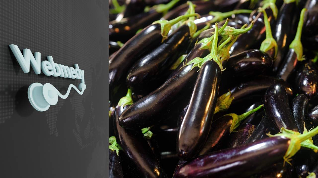 الفوائد الصحية للباذنجان