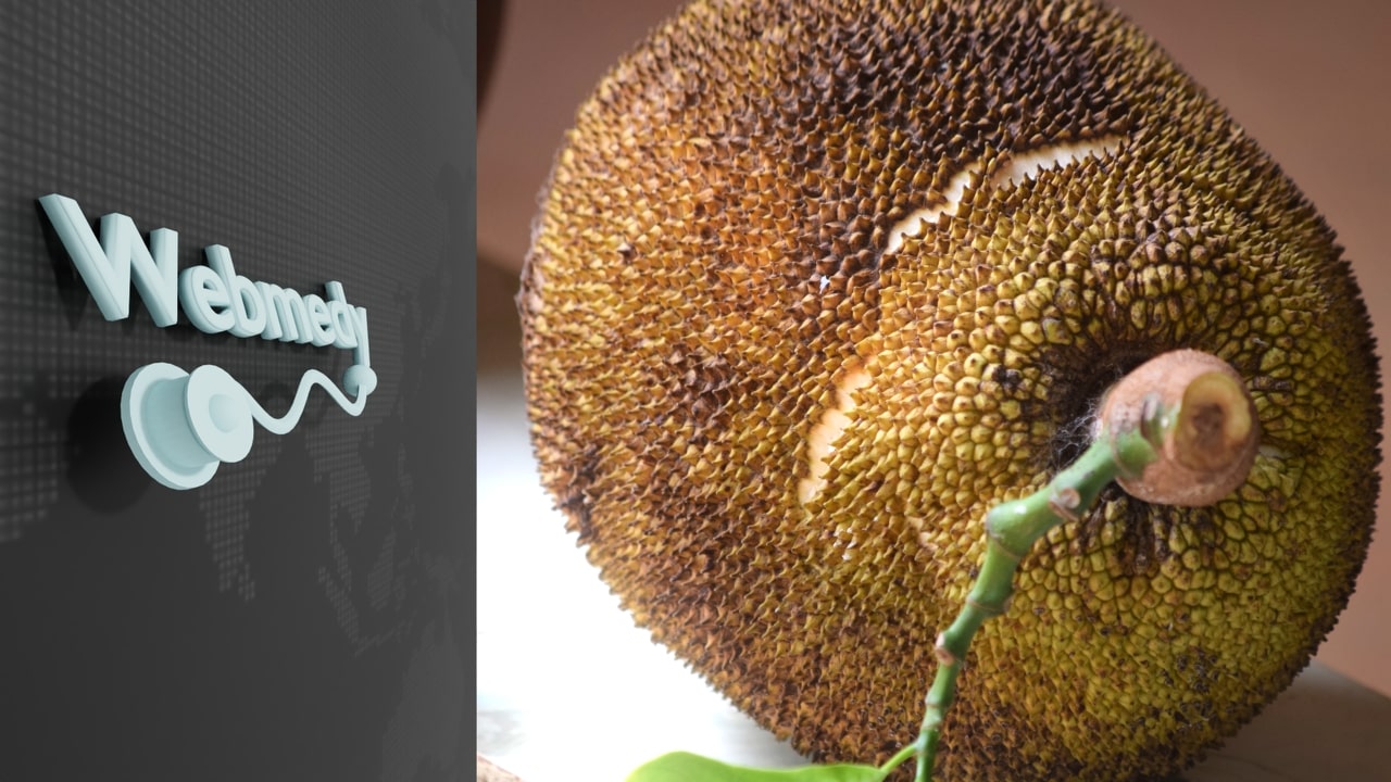 Jackfruit - هذه الفاكهة يمكن أن تحل جميع مشاكلك الصحية!