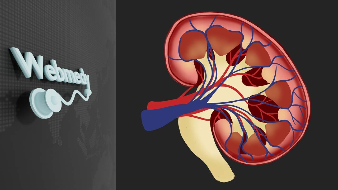 علامات تحذيرية تشير إلى أن الكليتين سامتان