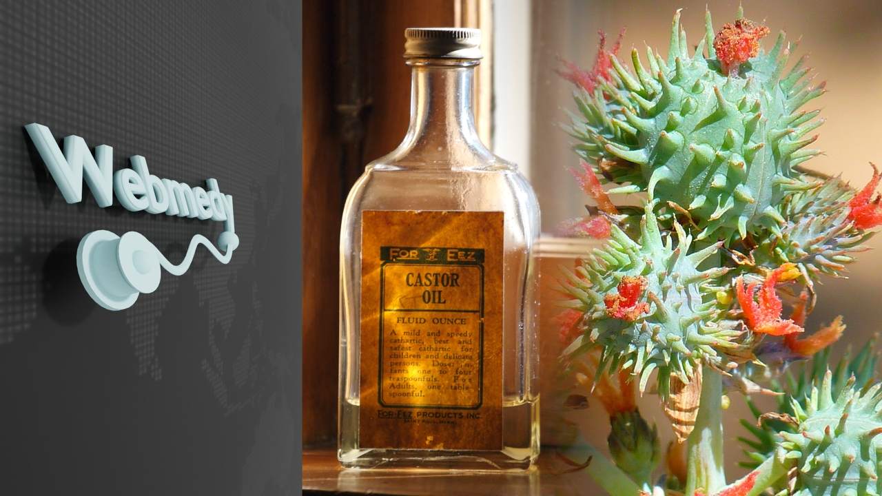Benefits of Castor Oil