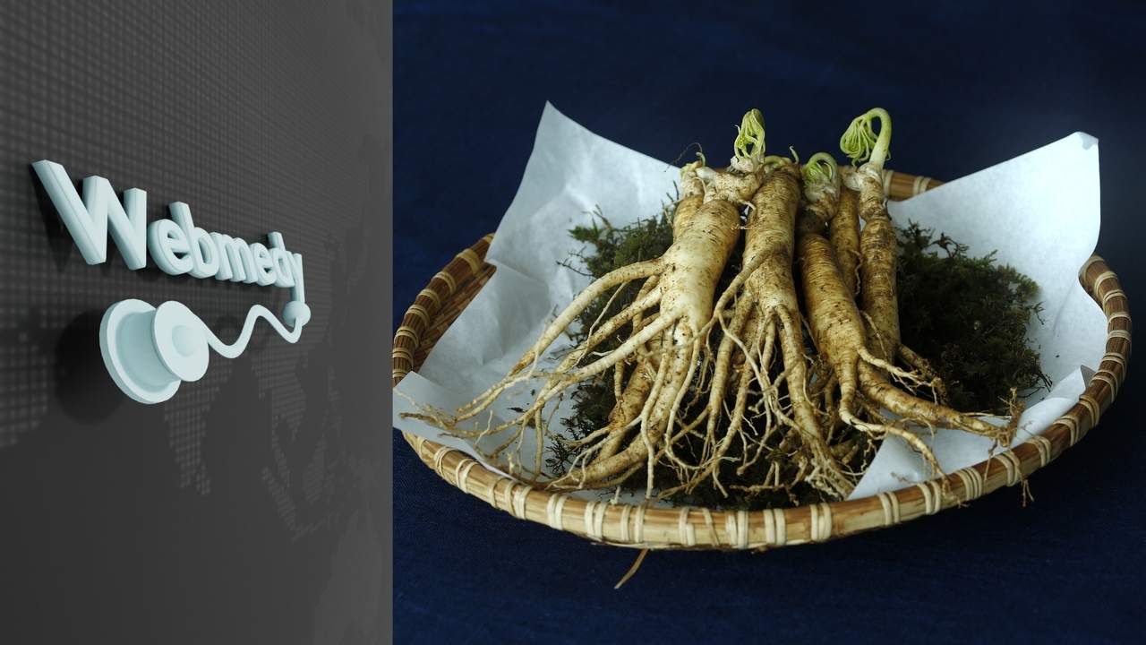 Health Benefits of Ginseng  The Nature's Gift for Mind, Body, and