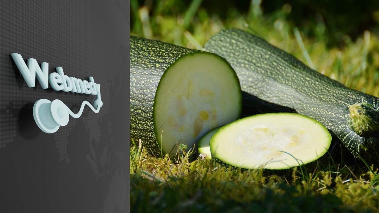 Top 7 Health Benefits of Zucchini