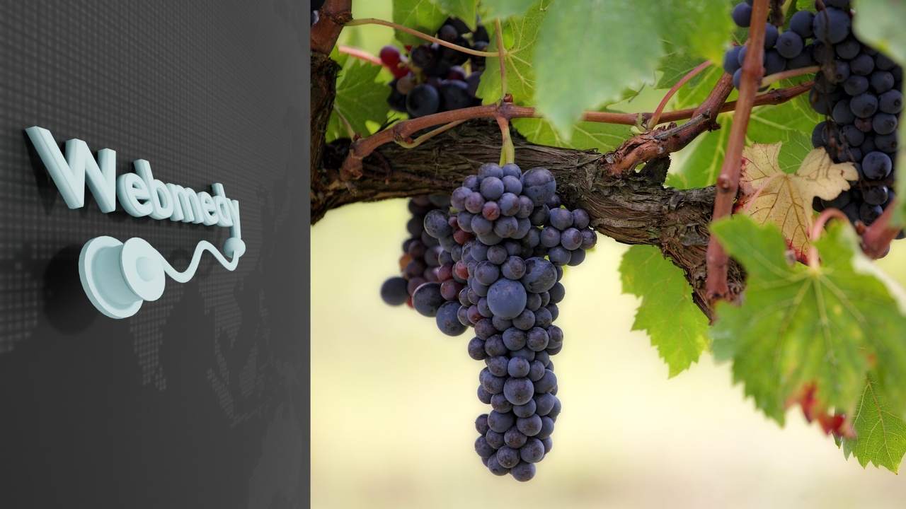 Beneficios para la salud de las uvas