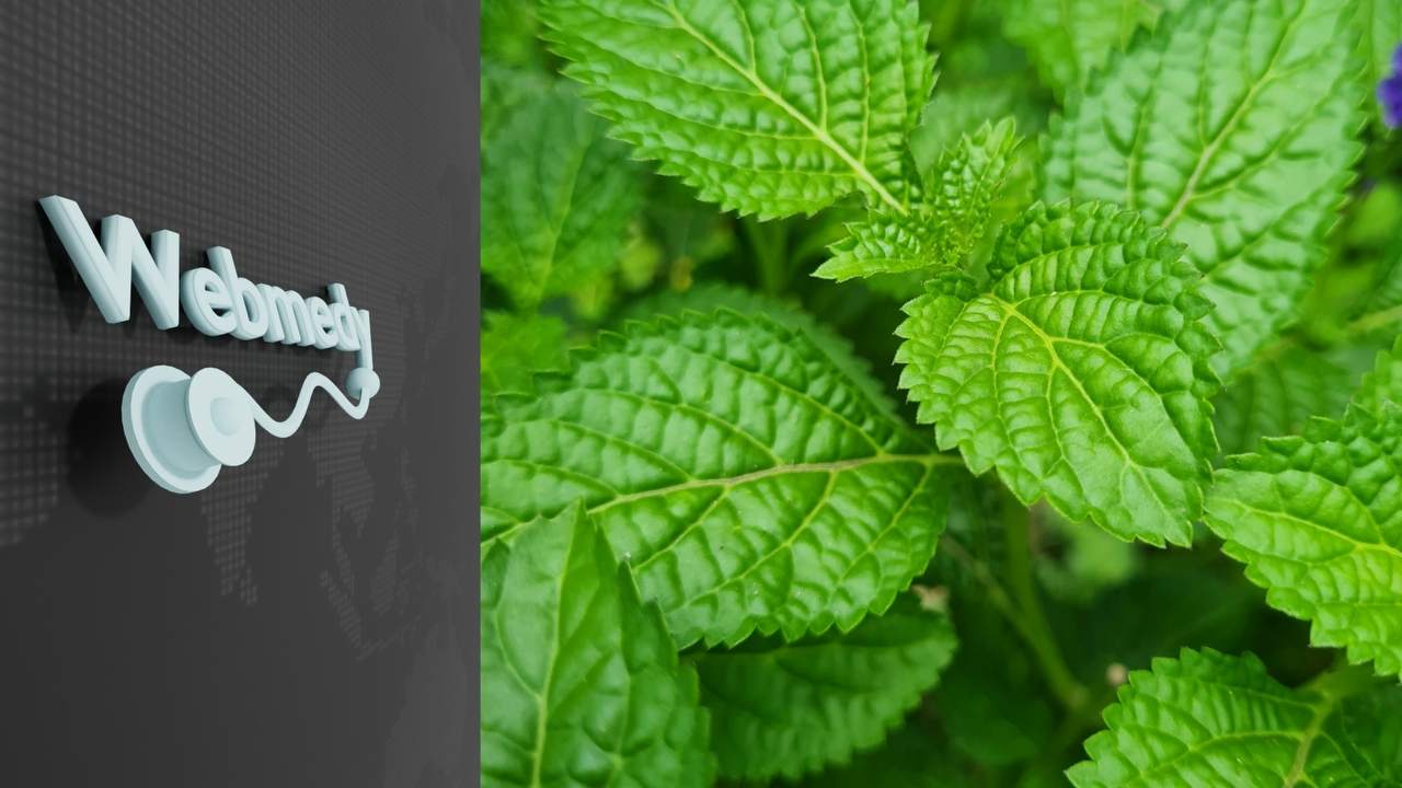 Beneficios del aceite de menta | Alivio de la migraña y el dolor de cabeza