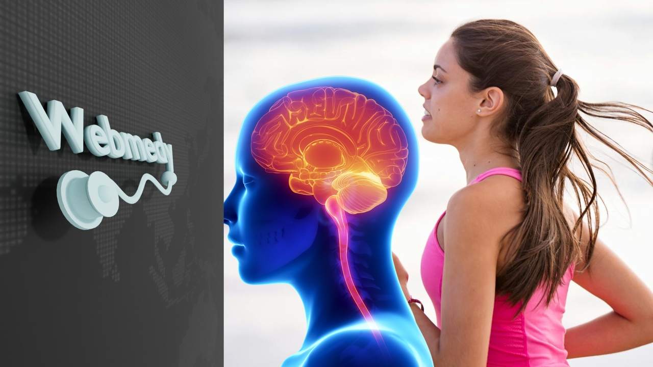 Efectos del ejercicio en el cerebro