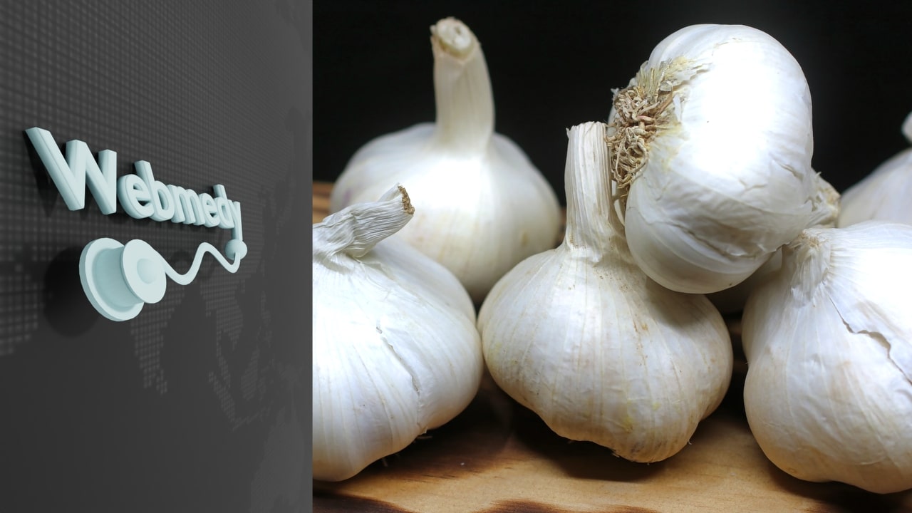 https://webmedy.com/blog/fr/benefits-garlic/benefits-garlic.jpg