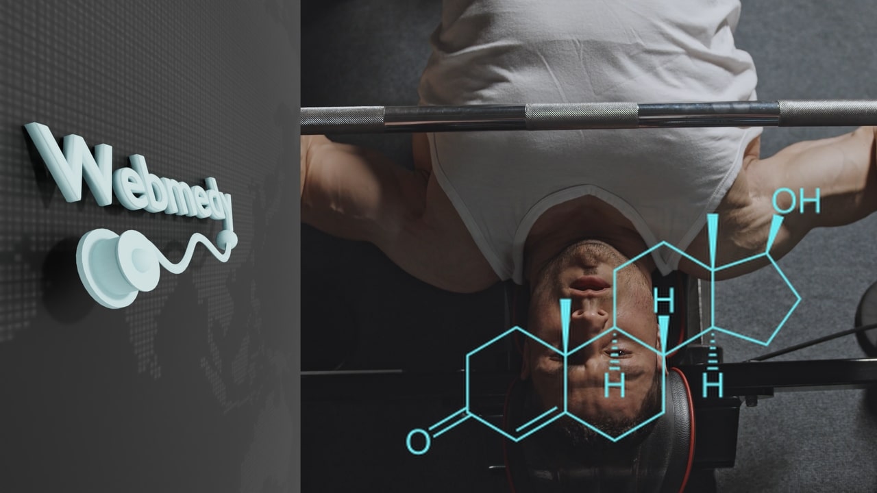 Meilleurs aliments pour stimuler la testostérone