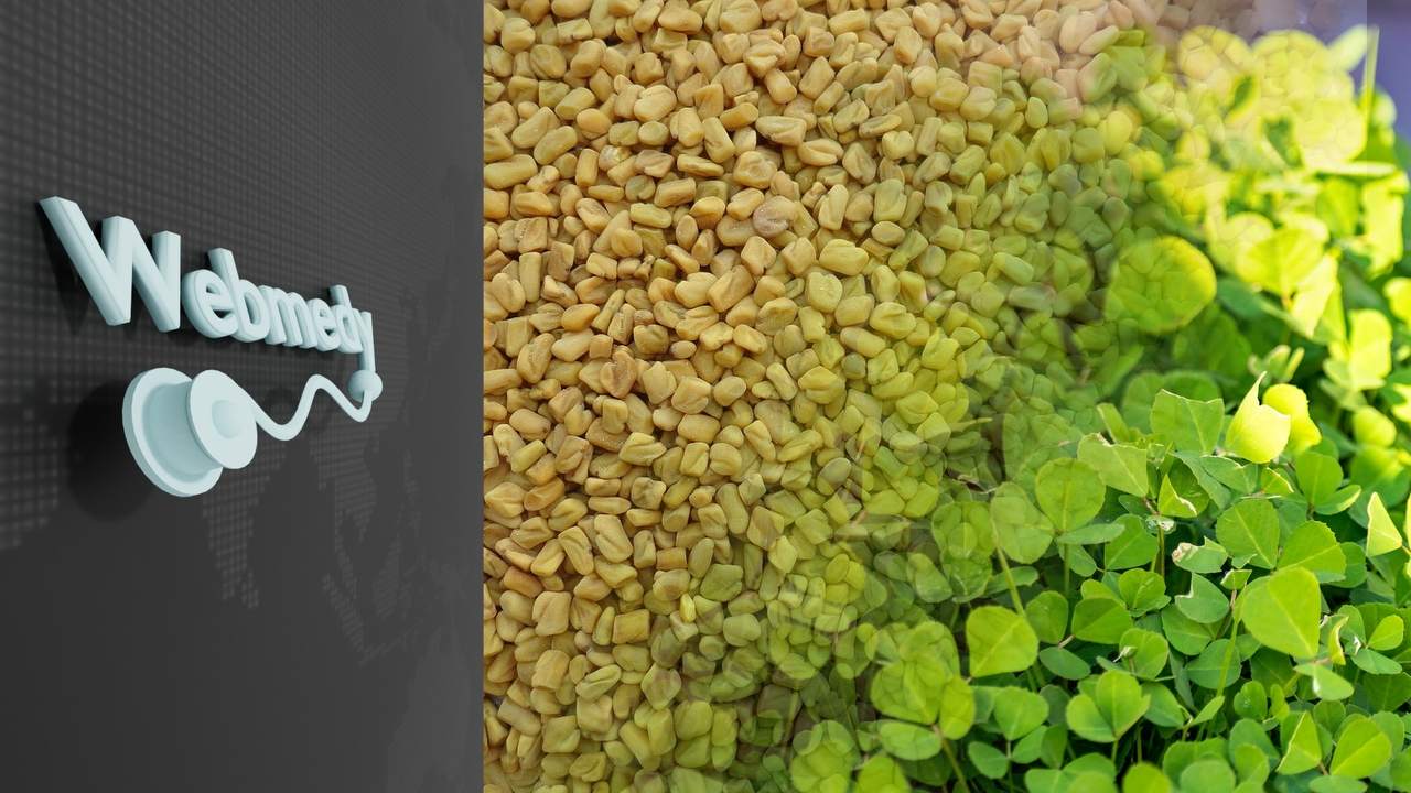 मेथी के बीज के स्वास्थ्य लाभ