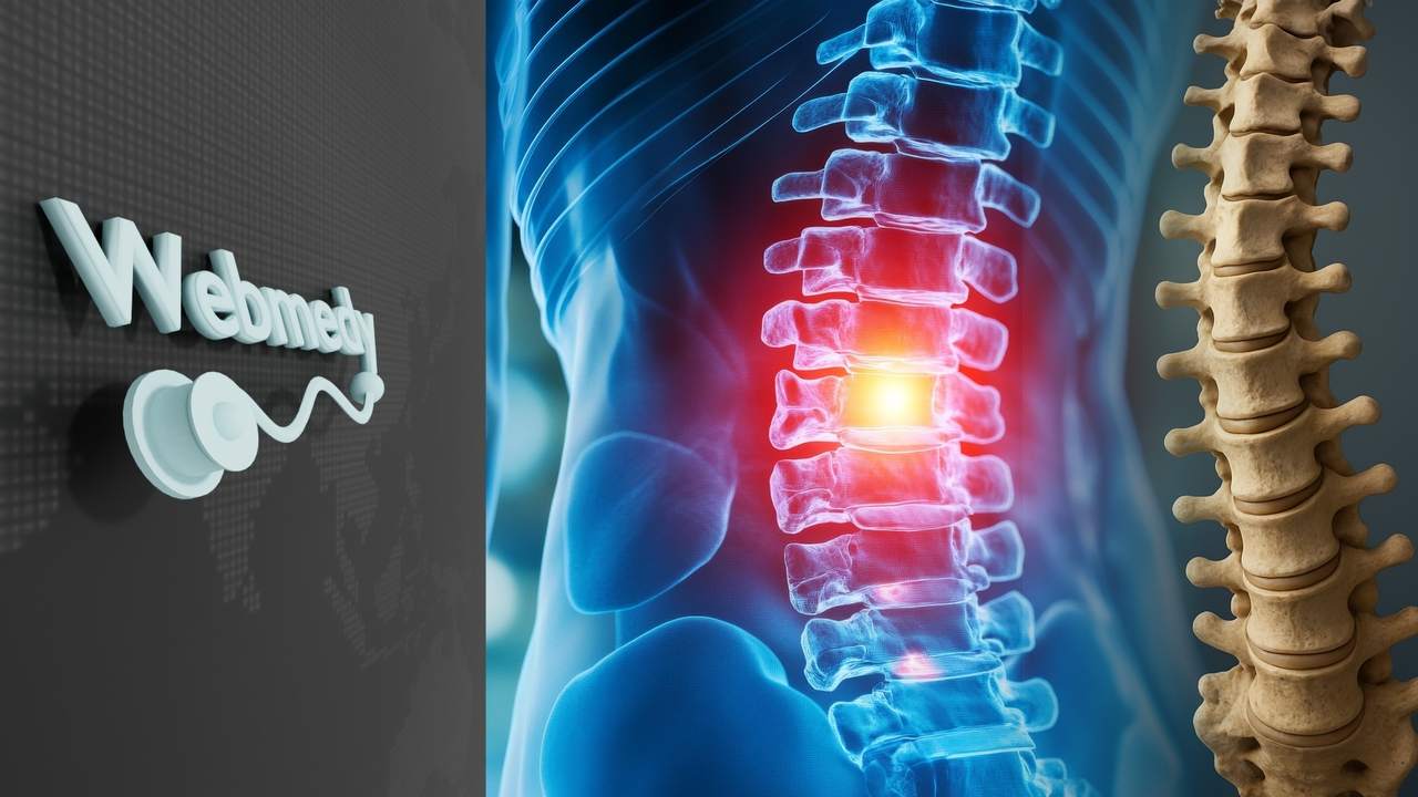 रीढ़ की हड्डी का स्वास्थ्य क्यों महत्वपूर्ण है, इसे समझें | रीढ़ की हड्डी के स्वास्थ्य को बढ़ावा देने के तरीके