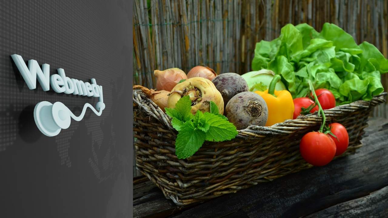 Makanan Antioksidan Teratas
