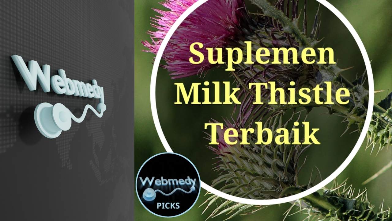 Suplemen Milk Thistle Terbaik Tahun 2024 | Milk Thistle Untuk Hati