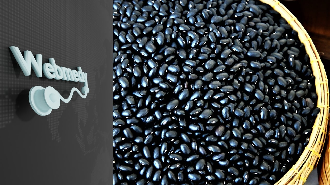Benefícios para a saúde do feijão preto | Nutrição do Feijão Preto