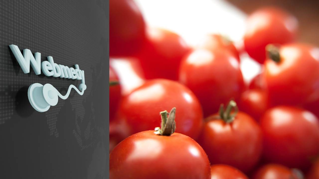 Os 10 Principais Benefícios Do Tomate Para A Saúde