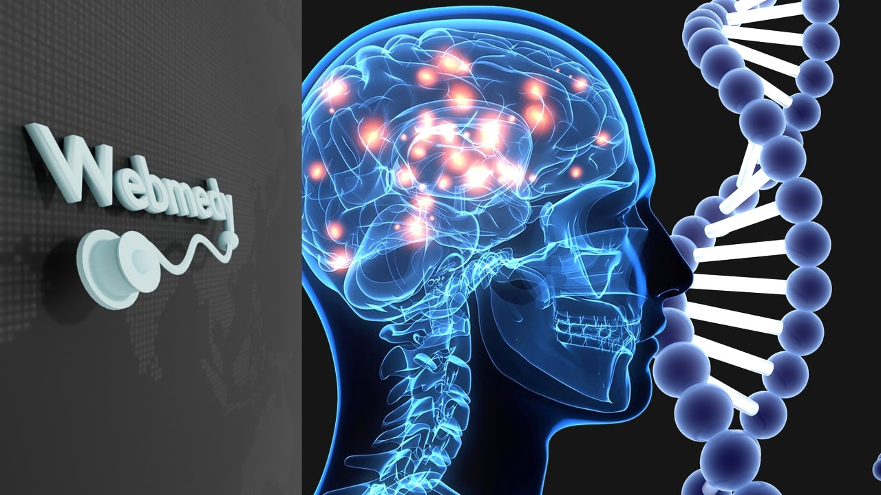Como a função cerebral pode mudar o DNA